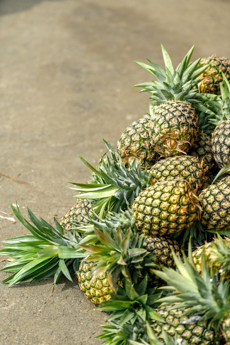 Ananas & fruit